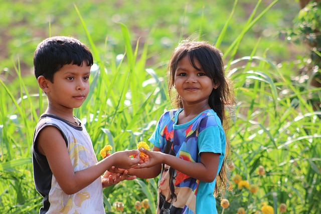 1,5% podatku w PIT – na co przekazać i jak to zrobić dobrze?